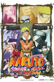 Naruto: The Cross Roads