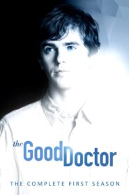 The Good Doctor: Season 1