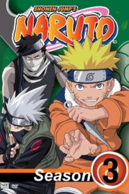 Naruto: Season 3